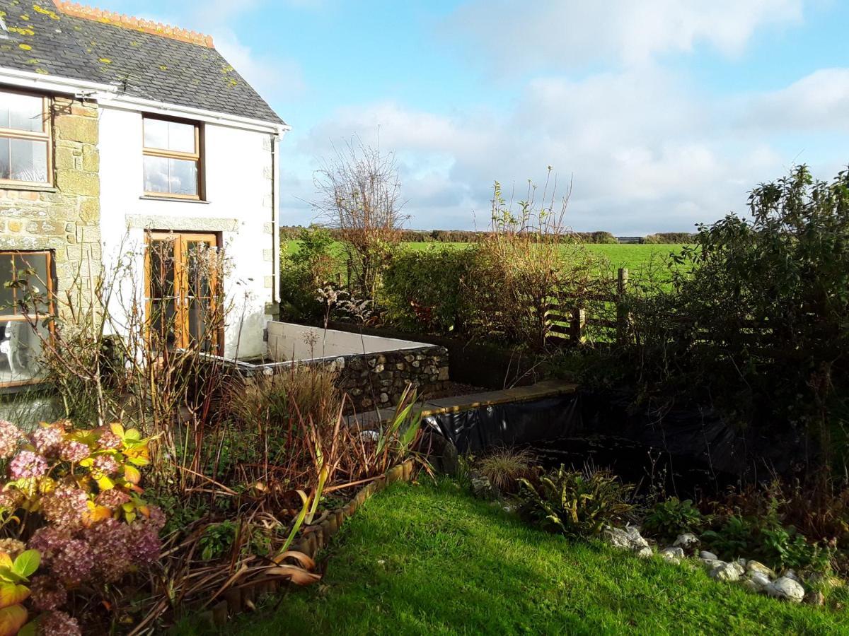 Butterfly Cottage Redruth Exterior photo