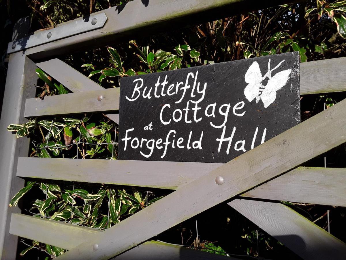 Butterfly Cottage Redruth Exterior photo